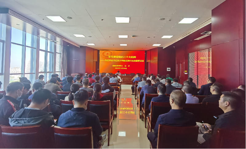 紧跟核心强忠诚 在深学细悟中坚定信仰信念 ——LEYU.COM-乐鱼（中国）
负责人汪洋同志为全体党员讲授主题教育专题党课